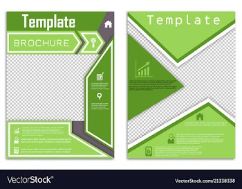 Flyer design business brochure template annual vector image