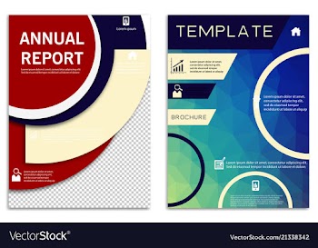 Flyer design business brochure template annual vector image