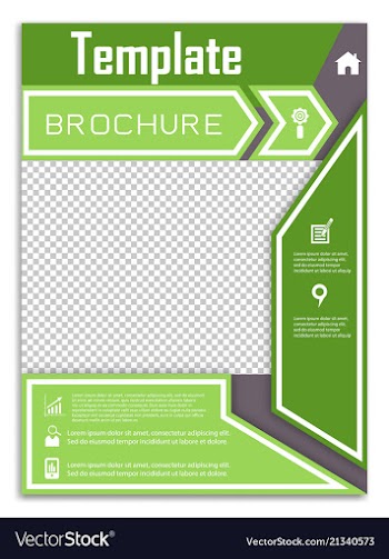 Flyer design business brochure template annual vector image