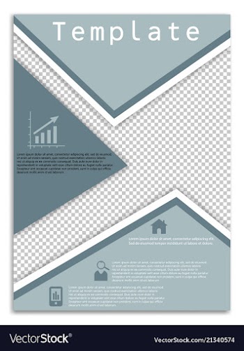Flyer design business brochure template annual vector image