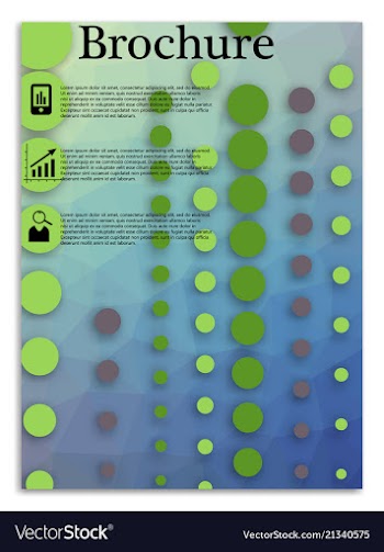 Flyer design business brochure template annual vector image