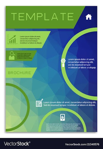 Flyer design business brochure template annual vector image
