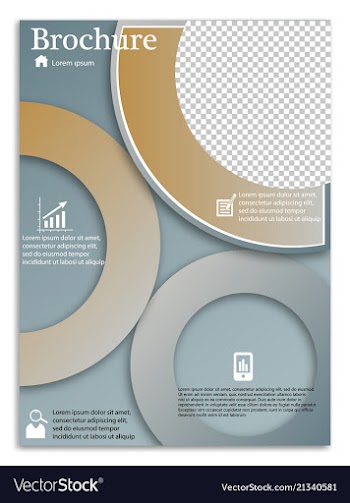 Flyer design business brochure template annual vector image