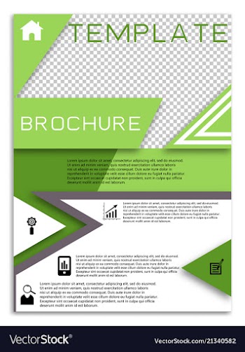 Flyer design business brochure template annual vector image