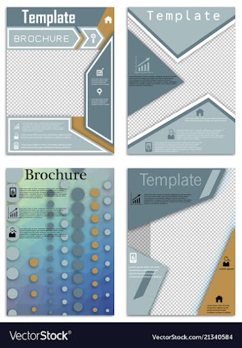 Flyer design business brochure template annual vector image