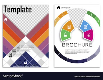 Flyer design business brochure template annual vector image