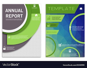 Flyer design business brochure template annual vector image