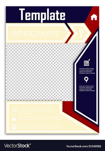 Flyer design business brochure template annual vector image