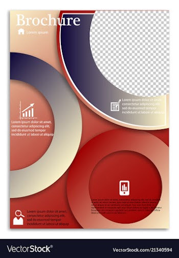 Flyer design business brochure template annual vector image
