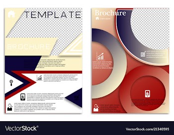 Flyer design business brochure template annual vector image