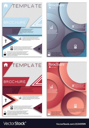 Flyer design business brochure template annual vector image