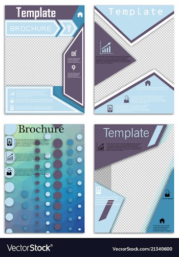 Flyer design business brochure template annual vector image