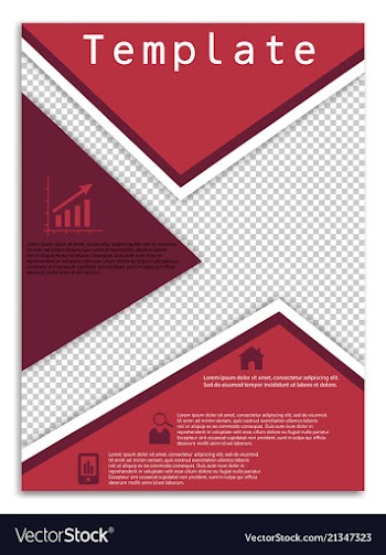 Flyer design business brochure template annual vector image