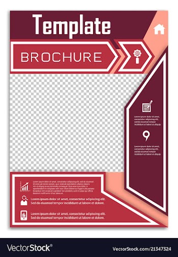 Flyer design business brochure template annual vector image