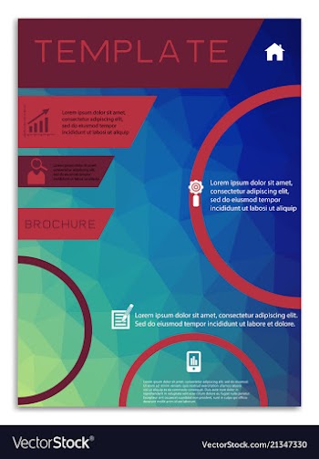 Flyer design business brochure template annual vector image