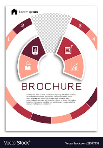 Flyer design business brochure template annual vector image