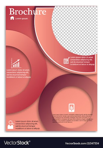Flyer design business brochure template annual vector image