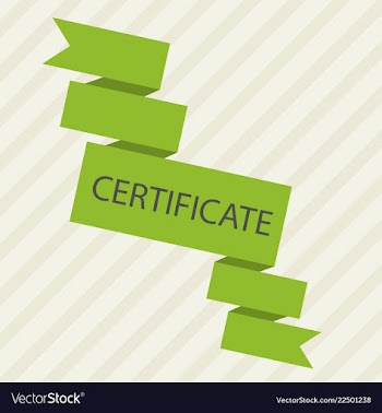 Flyer for business and web information vector image