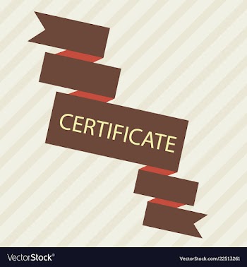Flyer for business and web information vector image