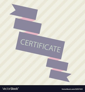 Flyer for business and web information vector image
