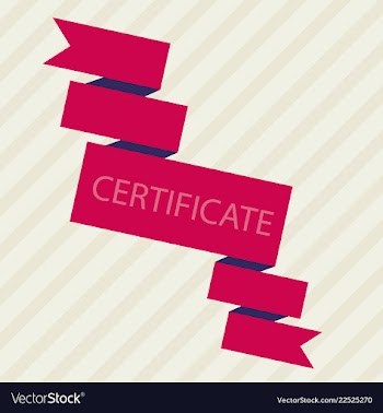 Flyer for business and web information vector image