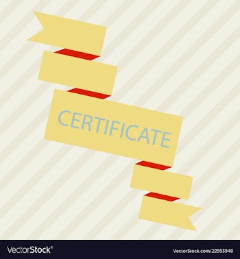 Flyer for business and web information vector image