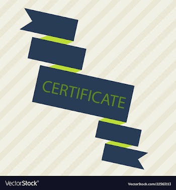 Flyer for business and web information vector image