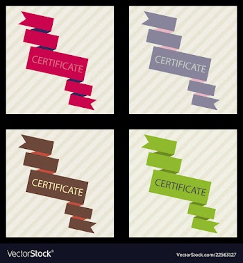 Flyer for business and web information vector image