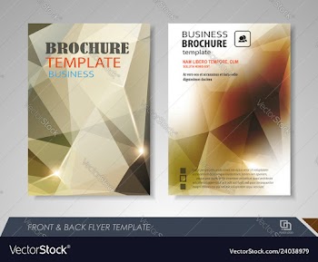 Flyer presentation template vector image