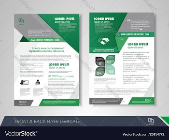 Flyer presentation template vector image