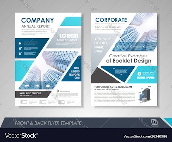Flyer presentation template vector image