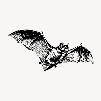 Flying bat clipart, vintage wildlife | Free Vector - rawpixel