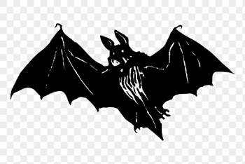 Flying bat drawing png, animal | Free PNG - rawpixel