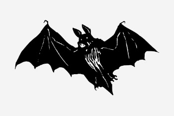 Flying bat hand drawn illustration. | Free Photo - rawpixel