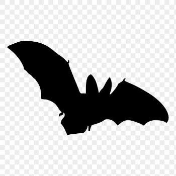 Flying bat png silhouette sticker, | Free PNG - rawpixel
