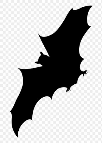 Flying bat png sticker animal | Free PNG - rawpixel
