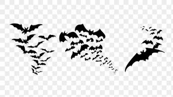 Flying bat png sticker animal | Free PNG - rawpixel