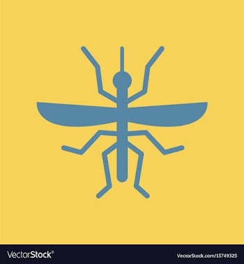 Flying beetle vector image