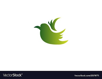 Flying bird abstract logo design vector image