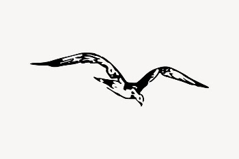 Flying bird clipart, vintage illustration | Free Vector Illustration - rawpixel