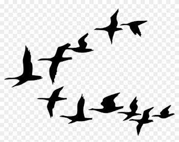 Flying Bird Drawing - Flying Birds Vector Png