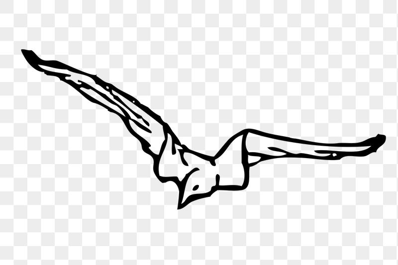Flying bird png sticker illustration, | Free PNG - rawpixel