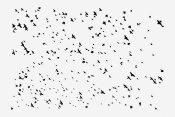 Flying birds, abstract white background. | Free Photo - rawpixel