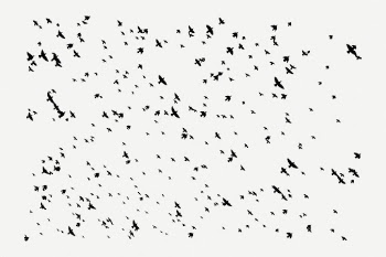 Flying birds, abstract white background | Free PSD - rawpixel