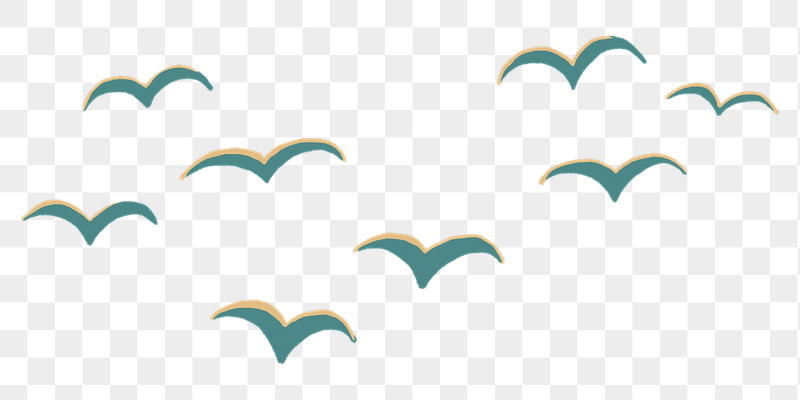 Flying birds png sticker, transparent | Free PNG Illustration - rawpixel