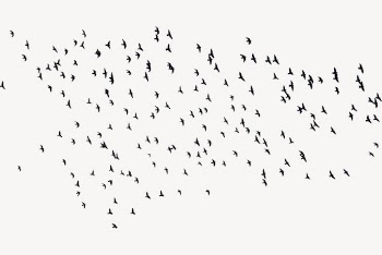 Flying birds silhouette background, animal | Free Photo - rawpixel