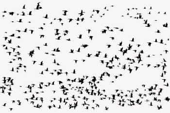 Flying birds silhouette background, animal | Free Photo - rawpixel