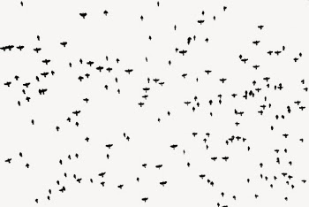 Flying birds silhouette background, animal | Free Photo - rawpixel