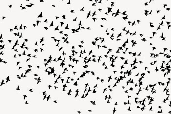 Flying birds silhouette background, animal | Free Photo - rawpixel