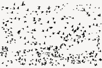 Flying birds silhouette background, animal | Free PSD - rawpixel